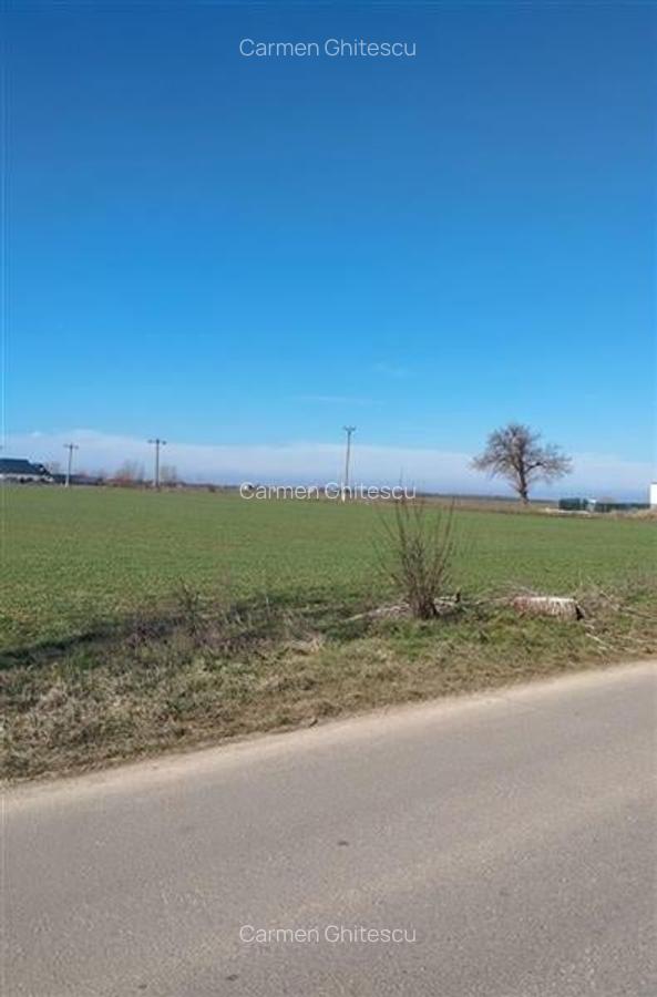 Teren in Ciolpani cu pozitie si pret bun, pretabil pentru constructie sau invest - 2