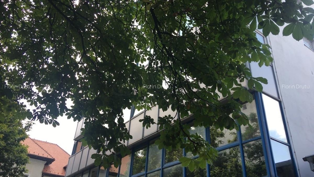 REC3000152 Cladire birouri Victoriei - Banu Manta - 5