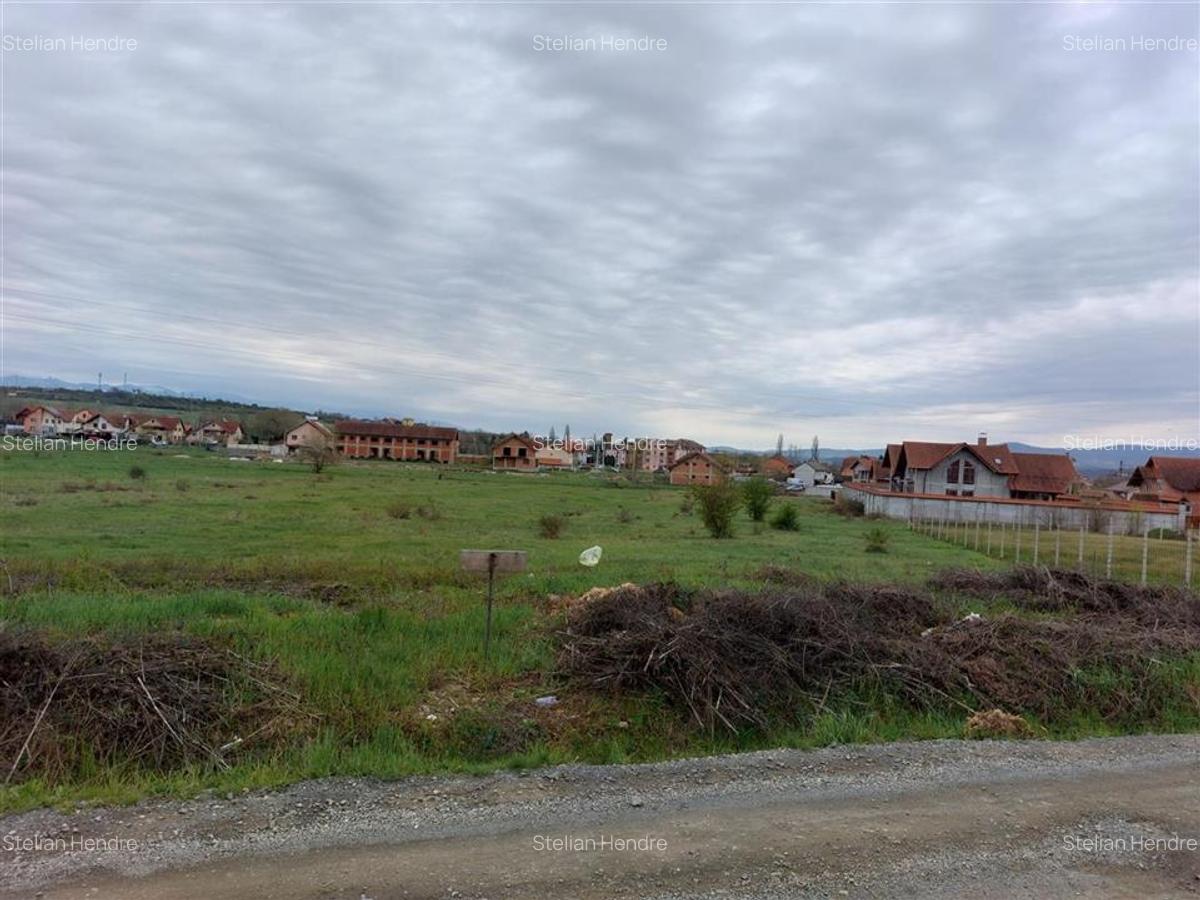 RECO Teren 4935mp in Beius - 1