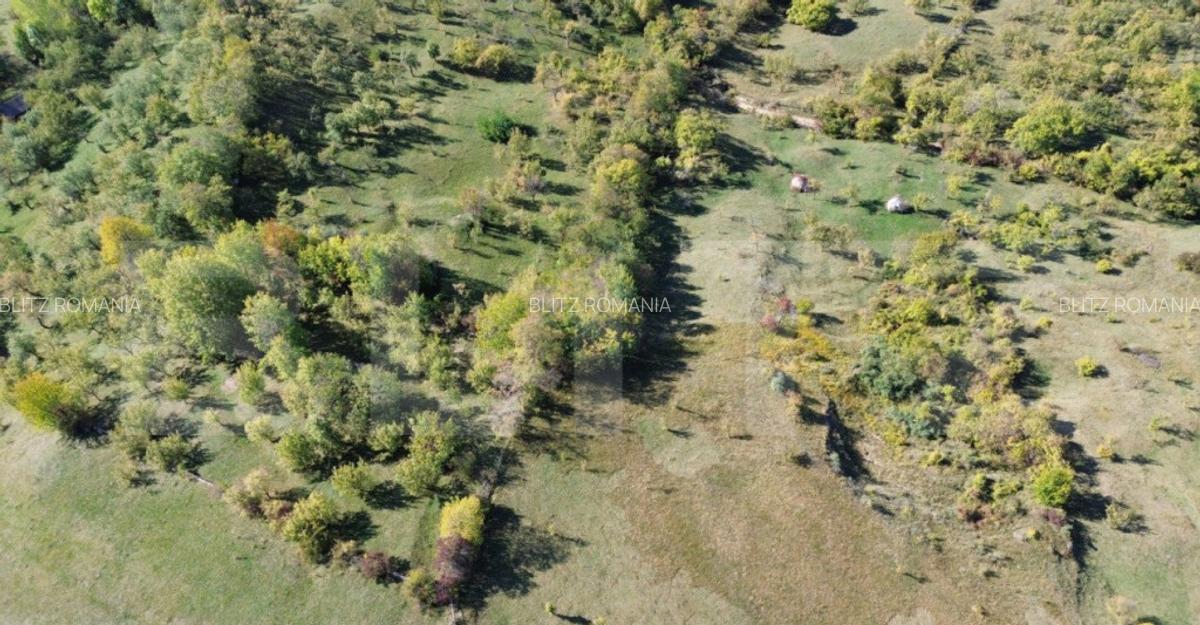 Teren extravilan, 41.631,00 mp, zona Pietrosita - 5