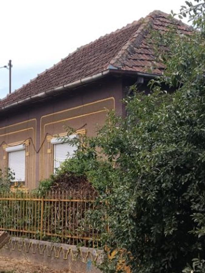 Casa de vanzare in Domanesti - 3
