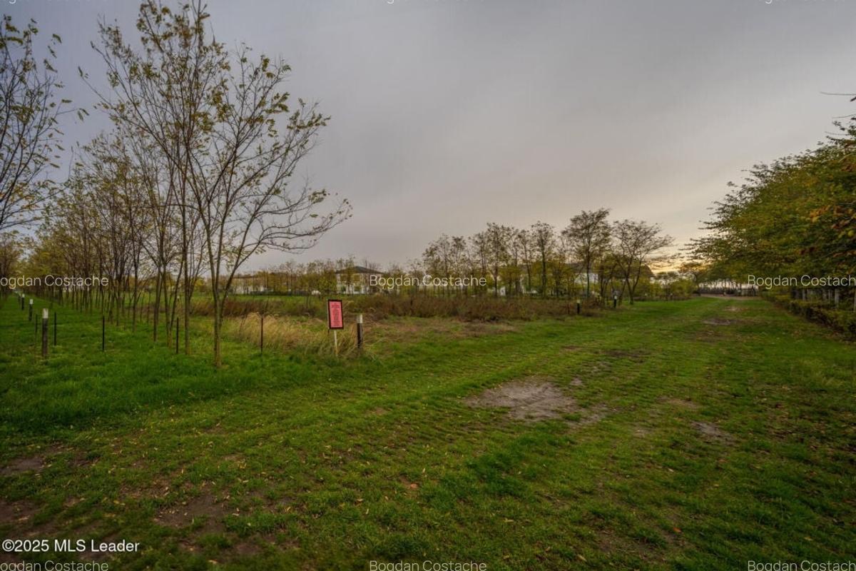 Teren intravilan de vanzare | Cartier rezidential deosebit | Afumati - 4