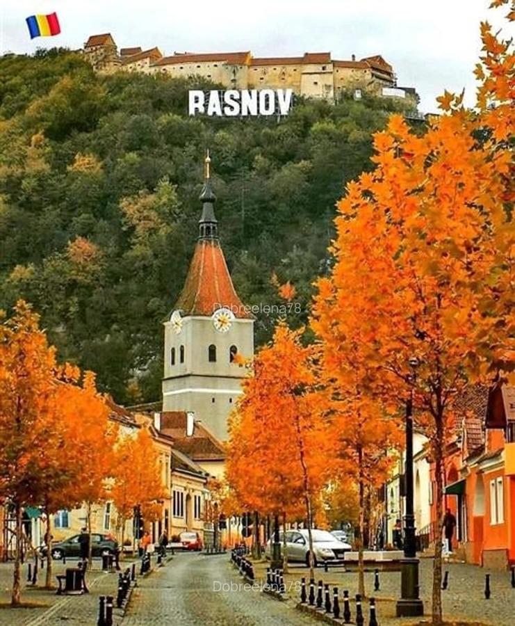 Pensiune cocheta, la poalele emblematicei Cetatii Rasnov, Brasov - 1