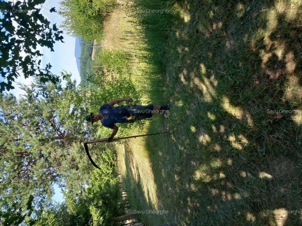 Vind construc?ie noua, 19 garsoniere,camere pentru inchiriat. - 6