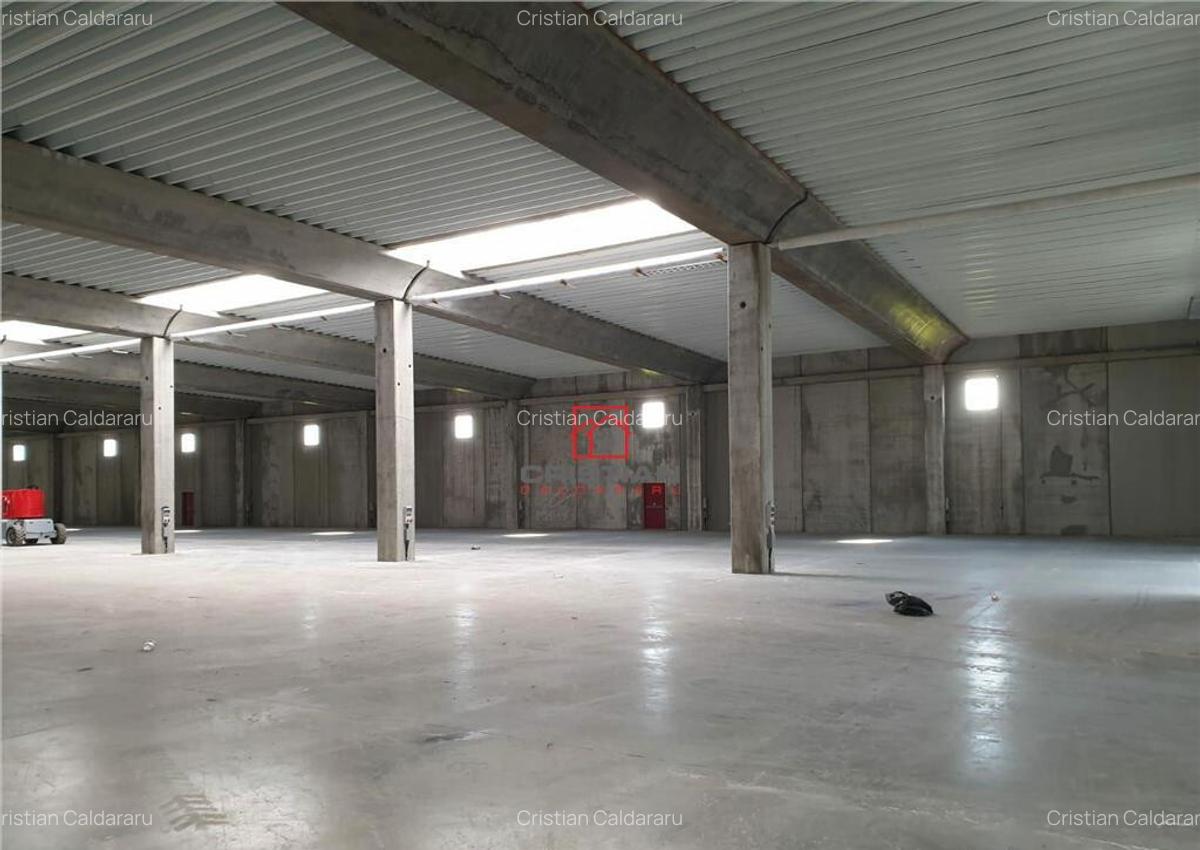 Depozit/spatiu industrial/hala Chitila - Rudeni, ILFOV - 15