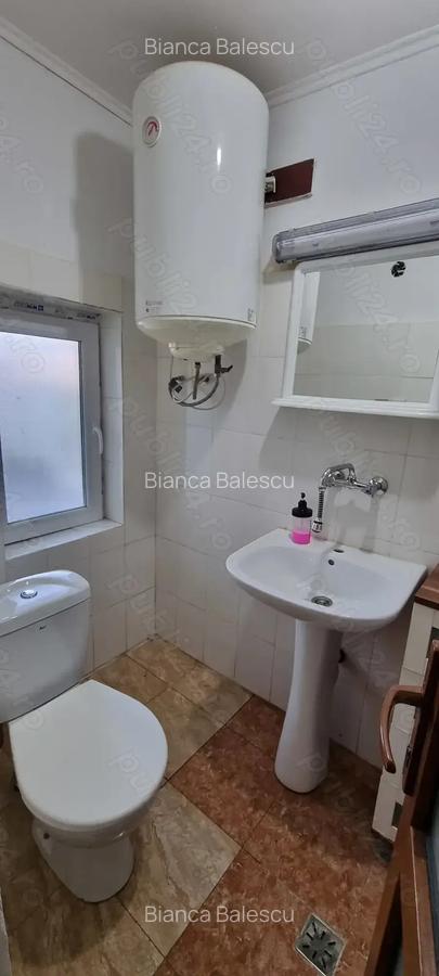 Casa de vanzare in Serbia, sat Vojvoda Stepa (10 minute de vama cu Jimbolia) - 7