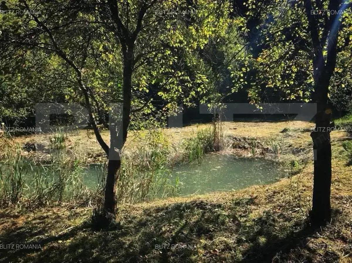 Casa de Vacan?a pe Valea Ighielului 3 camere, 2500 mp curte - 7