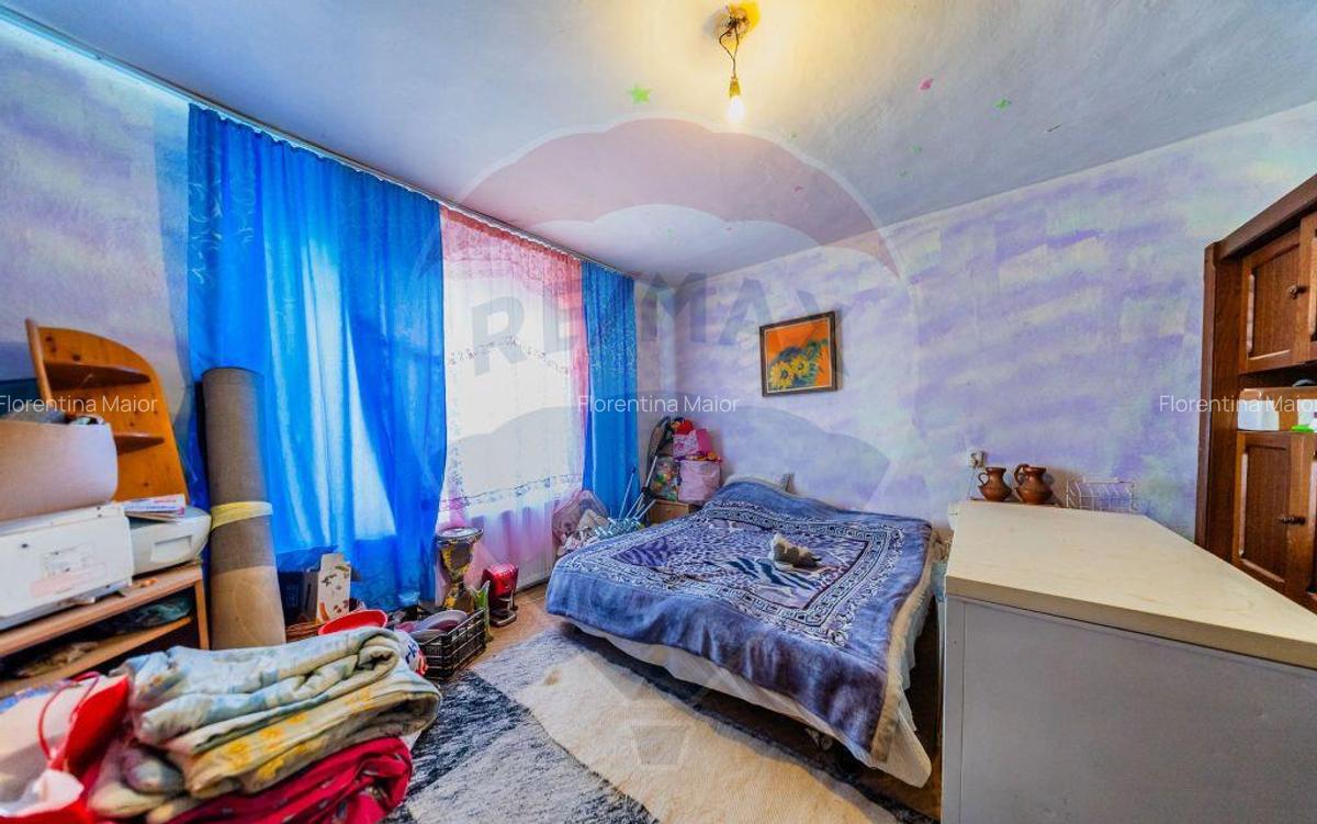 Casa + teren 2880 mp de vanzare in Tipar,Sintea Mare - 14