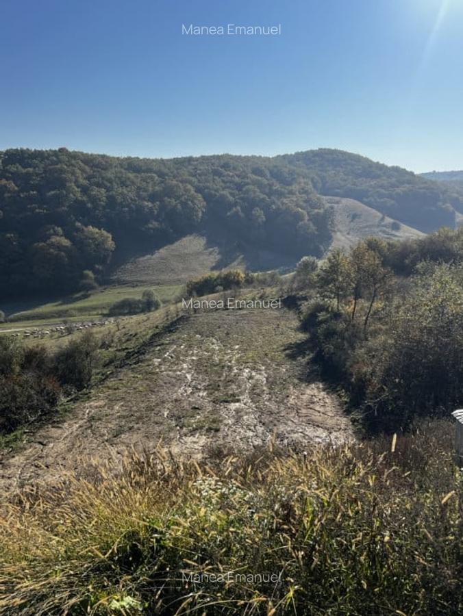 Teren intravilan ,1.000 mp , zona Str Salcamului - 1