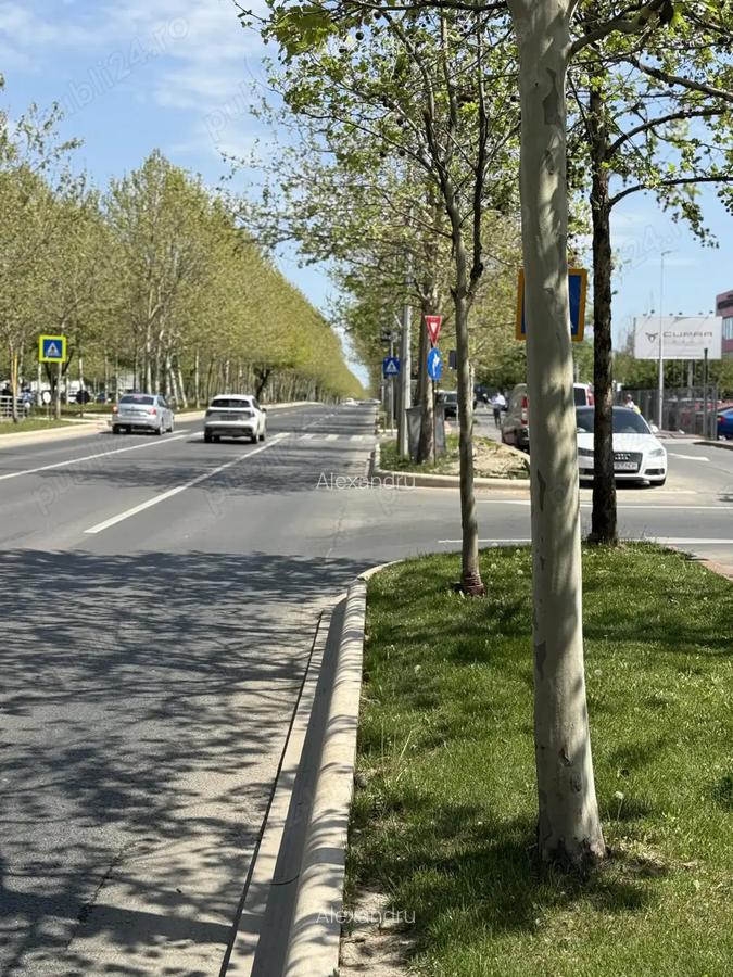 Theodor Pallady ! Pozitie top ! Casa + teren , str. Drumul Lunca Jaristei ! - 4