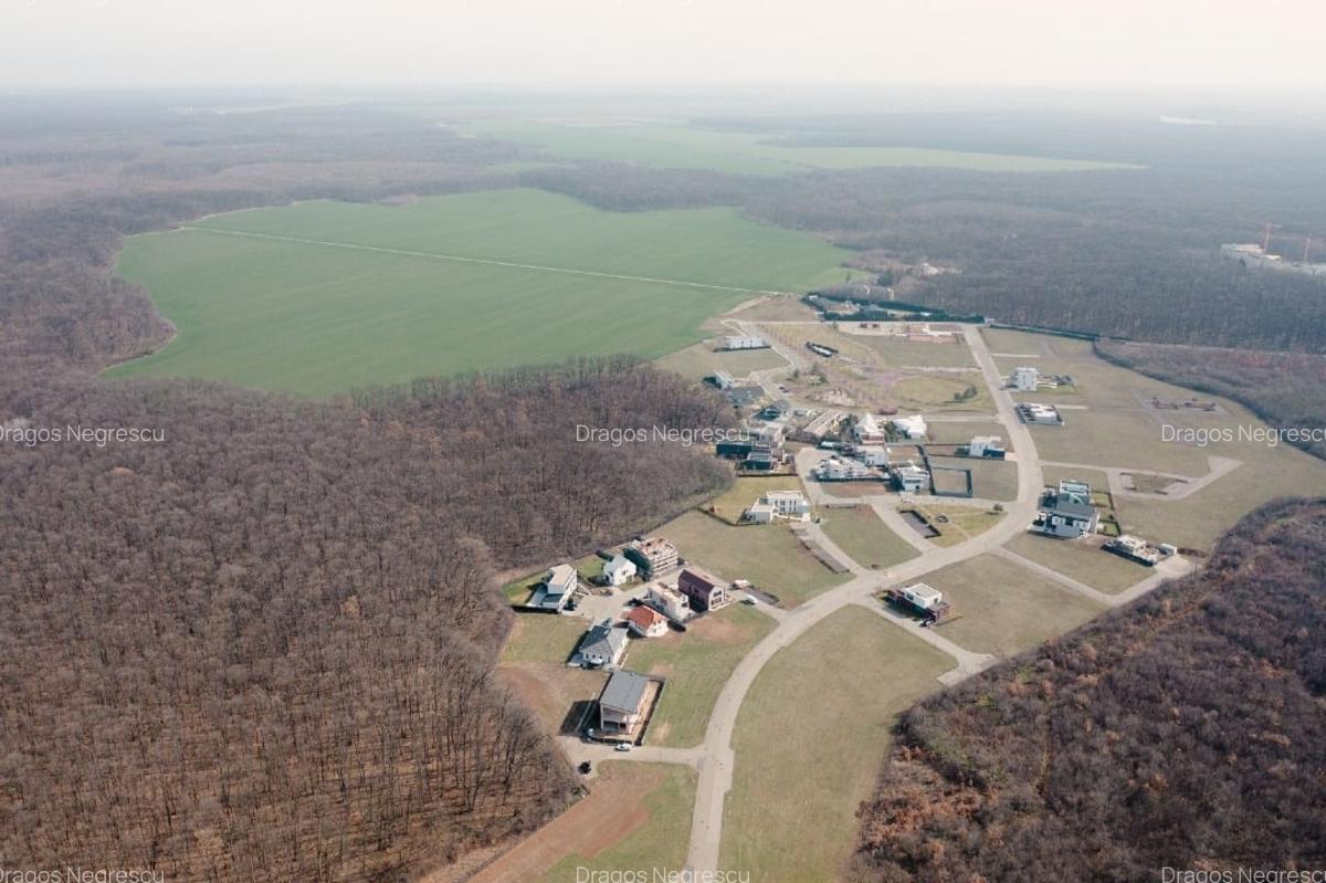 Teren de vis în Dumbrava Vlăsiei – 1290 mp, la marginea pădurii mature - 7