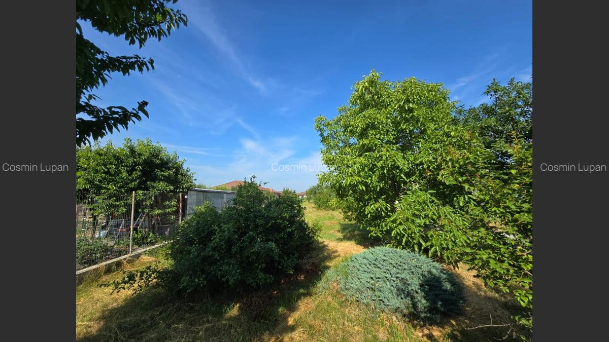 Casa + teren 2000 m? de vanzare, sat Sasar, zona foarte linistita - 5