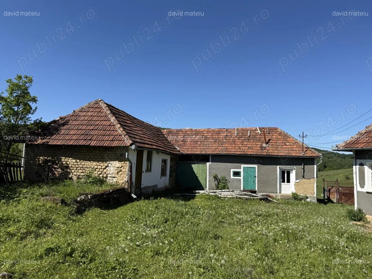 Vind casa in Tomnatic - 9