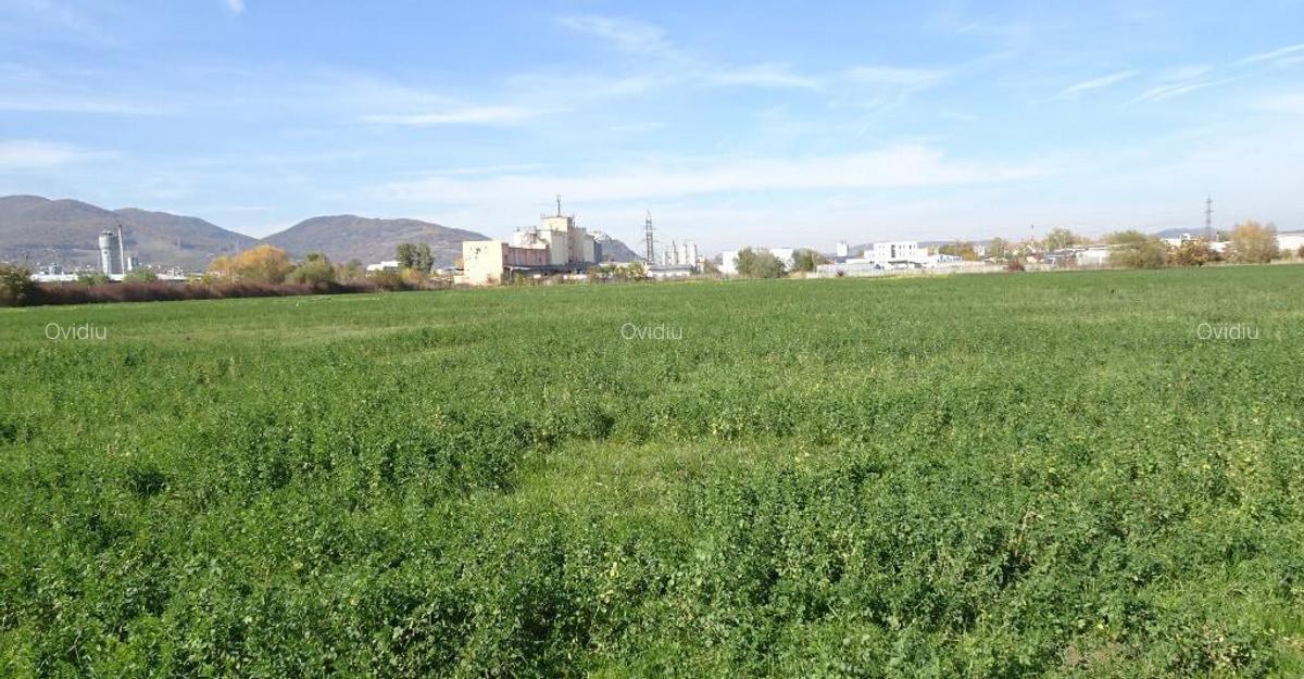 Vand teren intravilan in Deva suprafata totala 43 000 mp, zona Auchan - 5