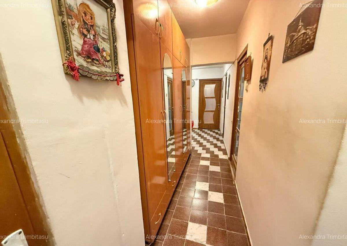 Apartament 3 camere Lacul Tei Teiul Doamnei - 11