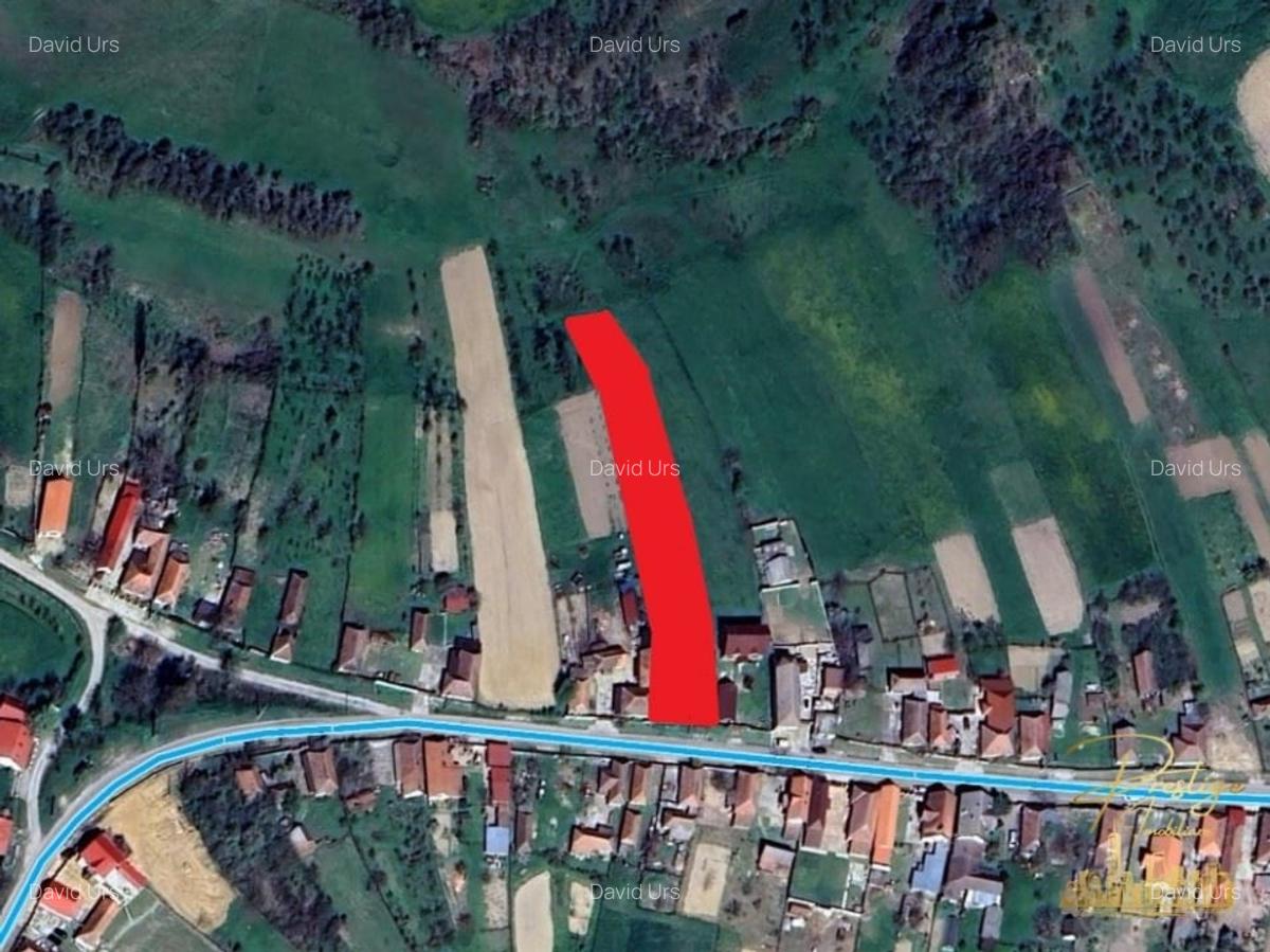 Teren intravilan de vanzare in Tasad - comuna Dragesti - 6