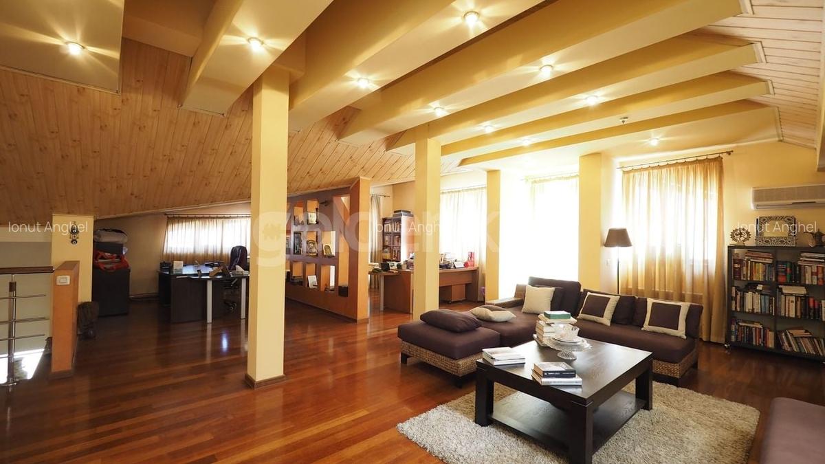 Casă cu 9 camere în Floreasca - 21