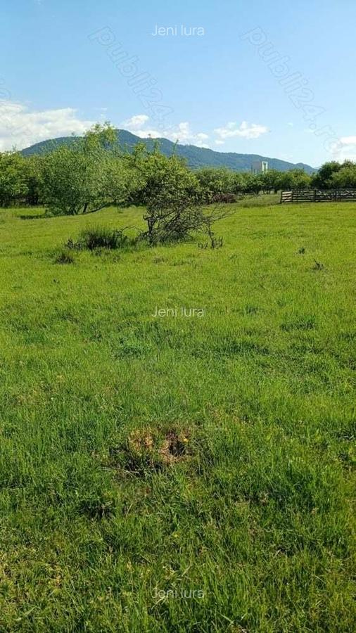 REDUCERE DE PRET! Teren in zona Sub Dura ,40 ari pentru constructii industriale - 4