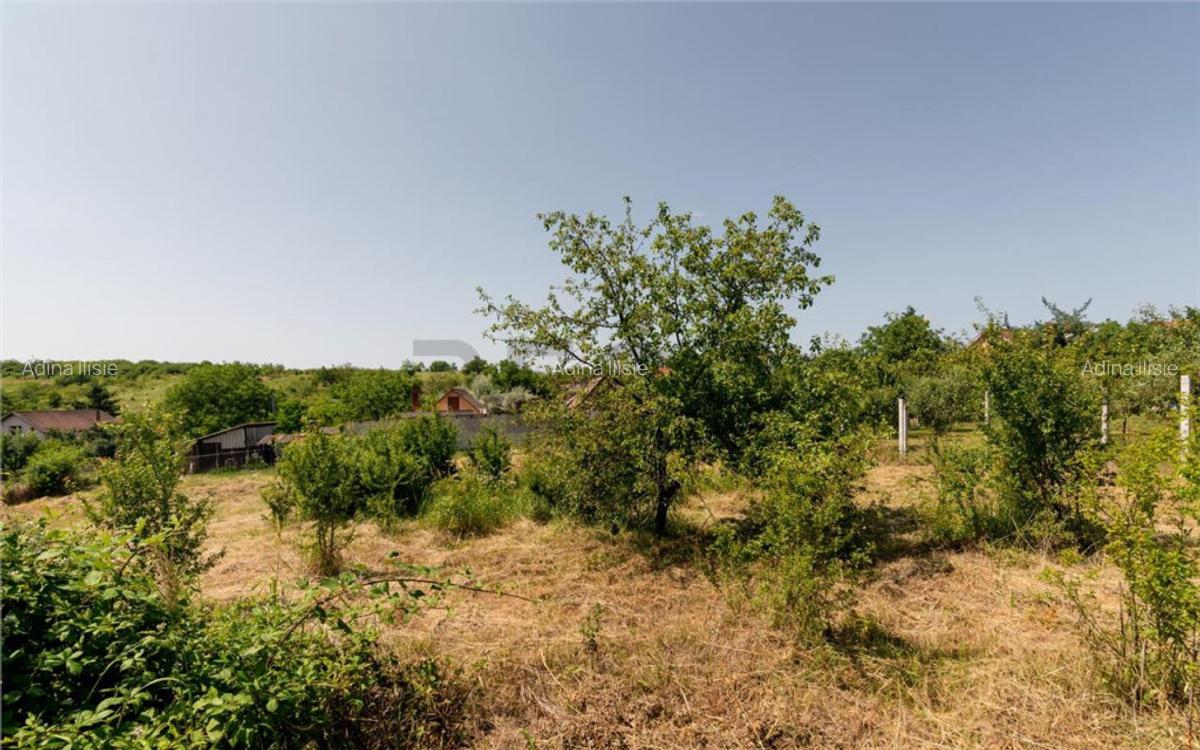 RECO Teren intravilan 1200 mp- front 30ml ,cu utilitati, Pa - 7