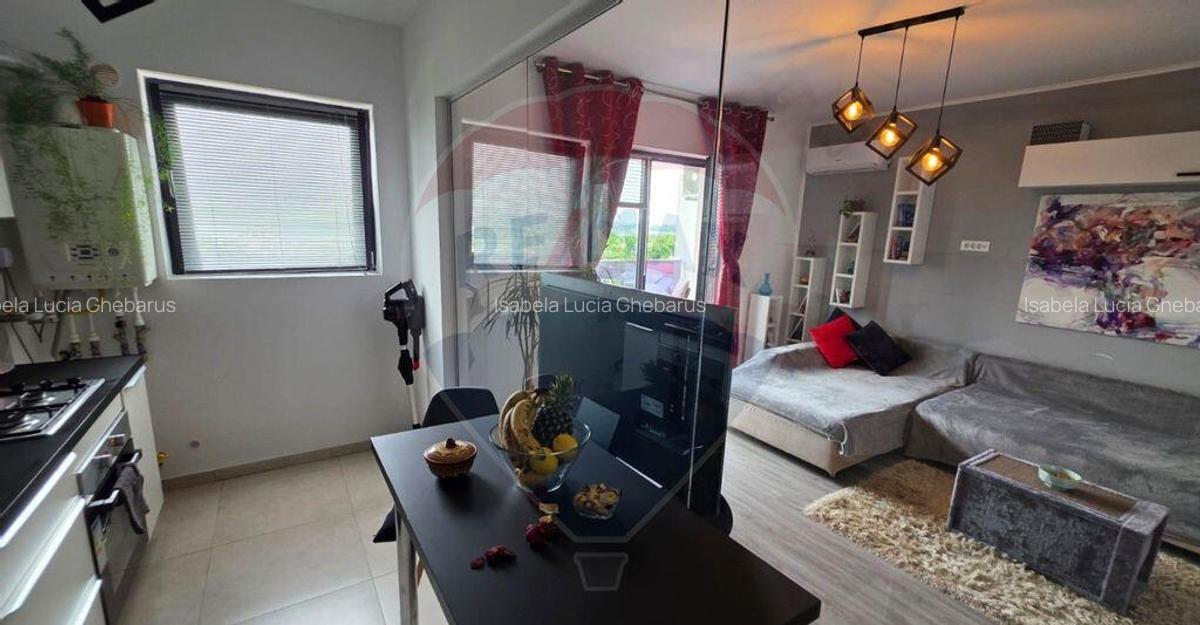 Apartament de inchiriat cu vedere la lac - 13