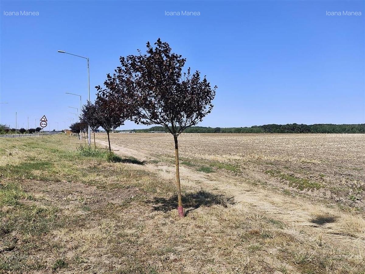 Vanzare teren intravilan industrial BRANESTI ( Makita) | 3750mp | deschidere la - 5