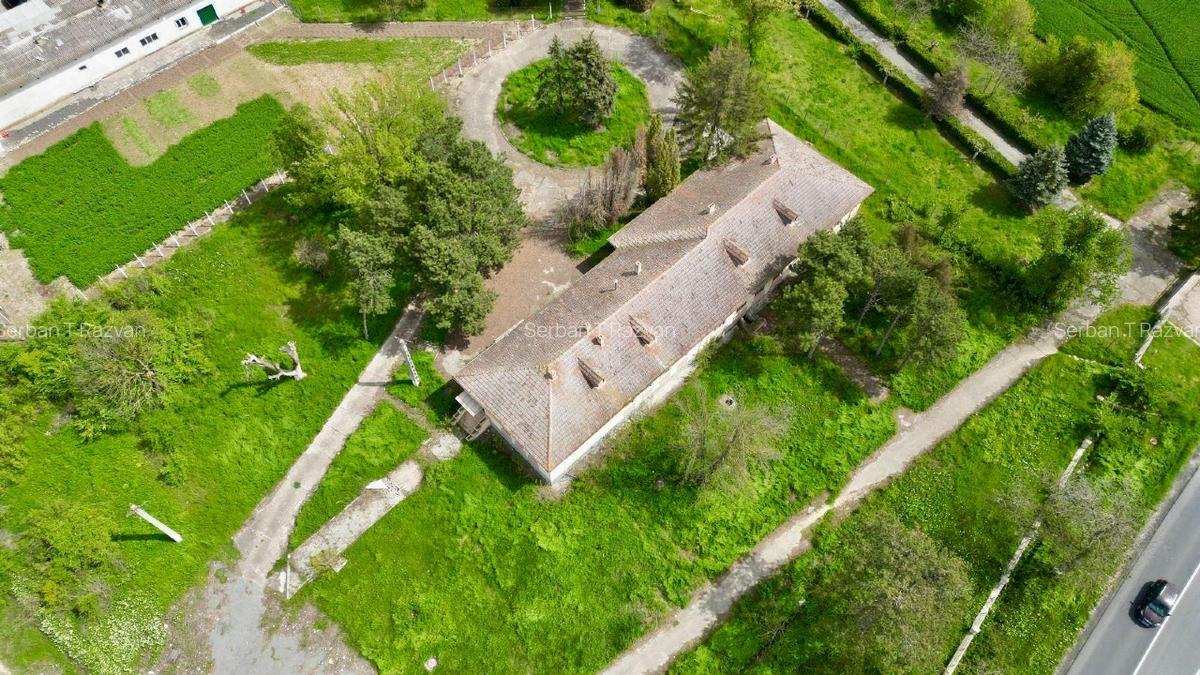 FERMĂ DE VÂNZARE – Partizanu, județul Constanța - 9