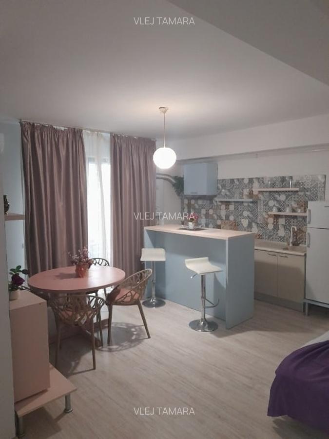 APARTAMENT DE INCHIRIAT LA MALUL MARI - 4 APARTAMENT DE INCHIRIAT LA MALUL MARI - 4