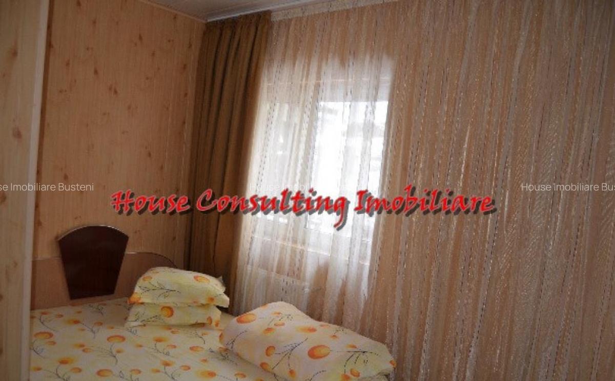 Vila de vacanta in Predeal - 4 Vila de vacanta in Predeal - 4