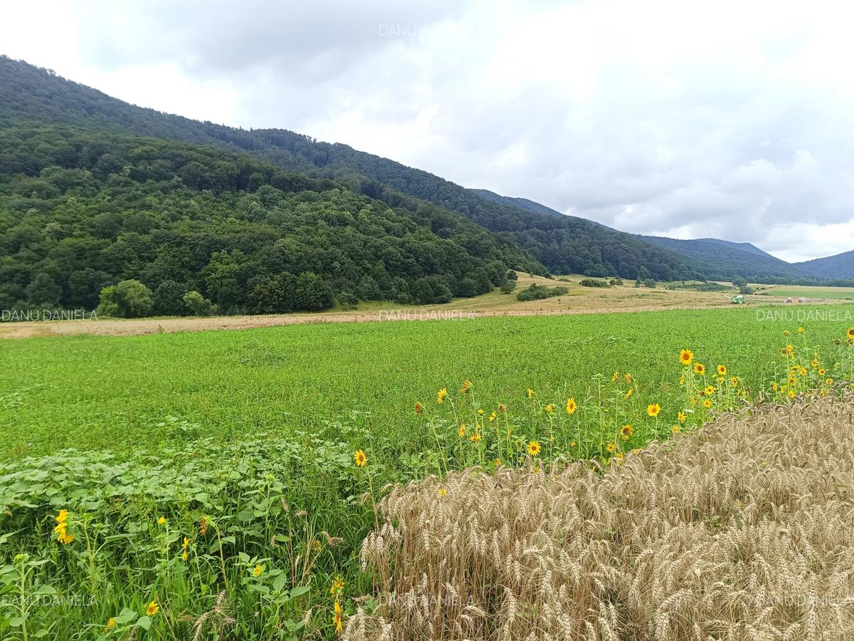 De vanzare - Teren intravilan pentru constructii – 16.500 mp / 0% comision - 4