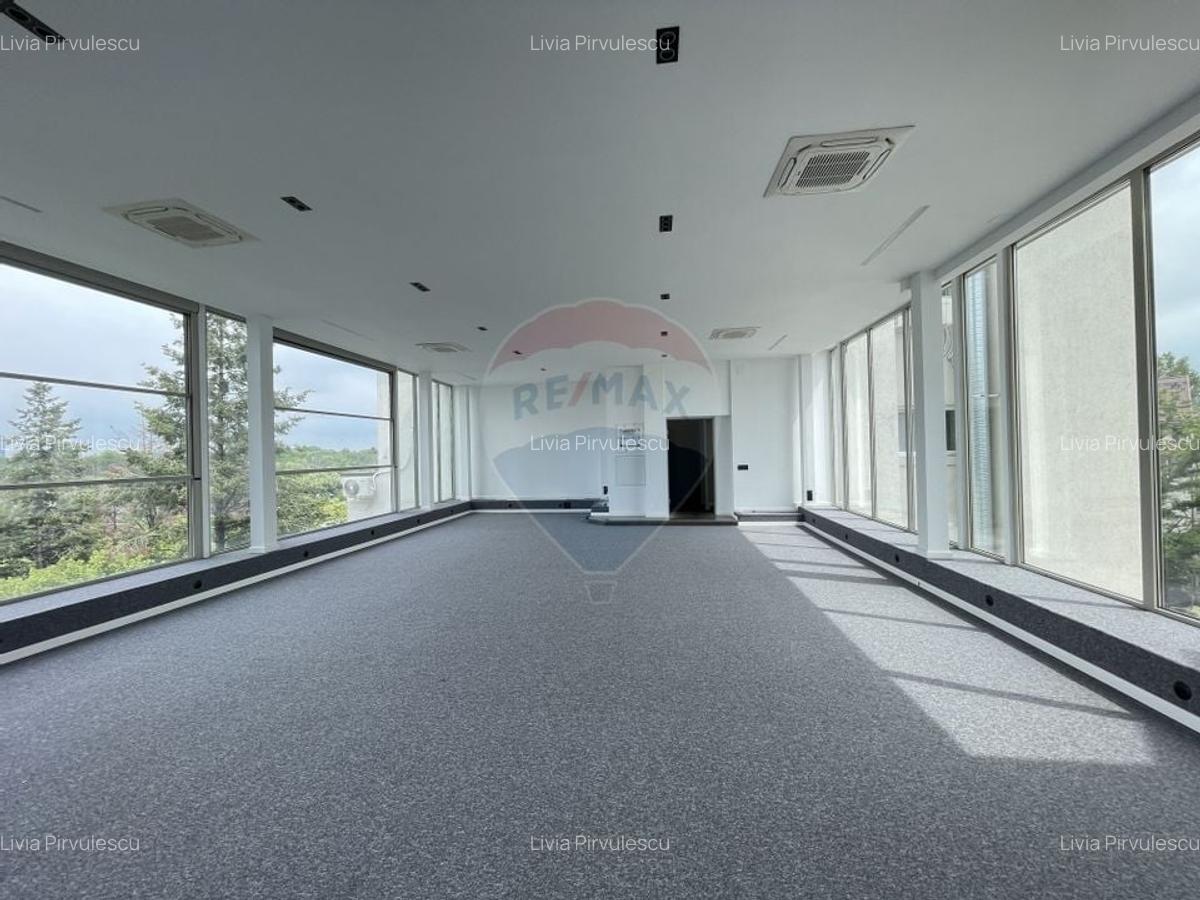 Spatiu de birouri 200-500 mp I Charles de Gaulle - Primaverii - 5