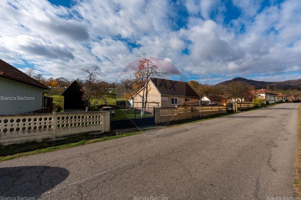 Casa de vanzare Certejul de sus,jud. Hunedoara - 22