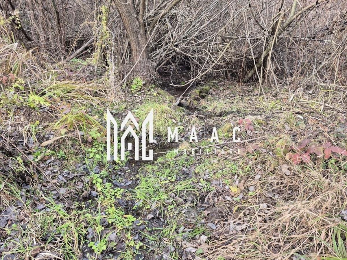 Teren de vanzare | Orlat | Extravilan - 9