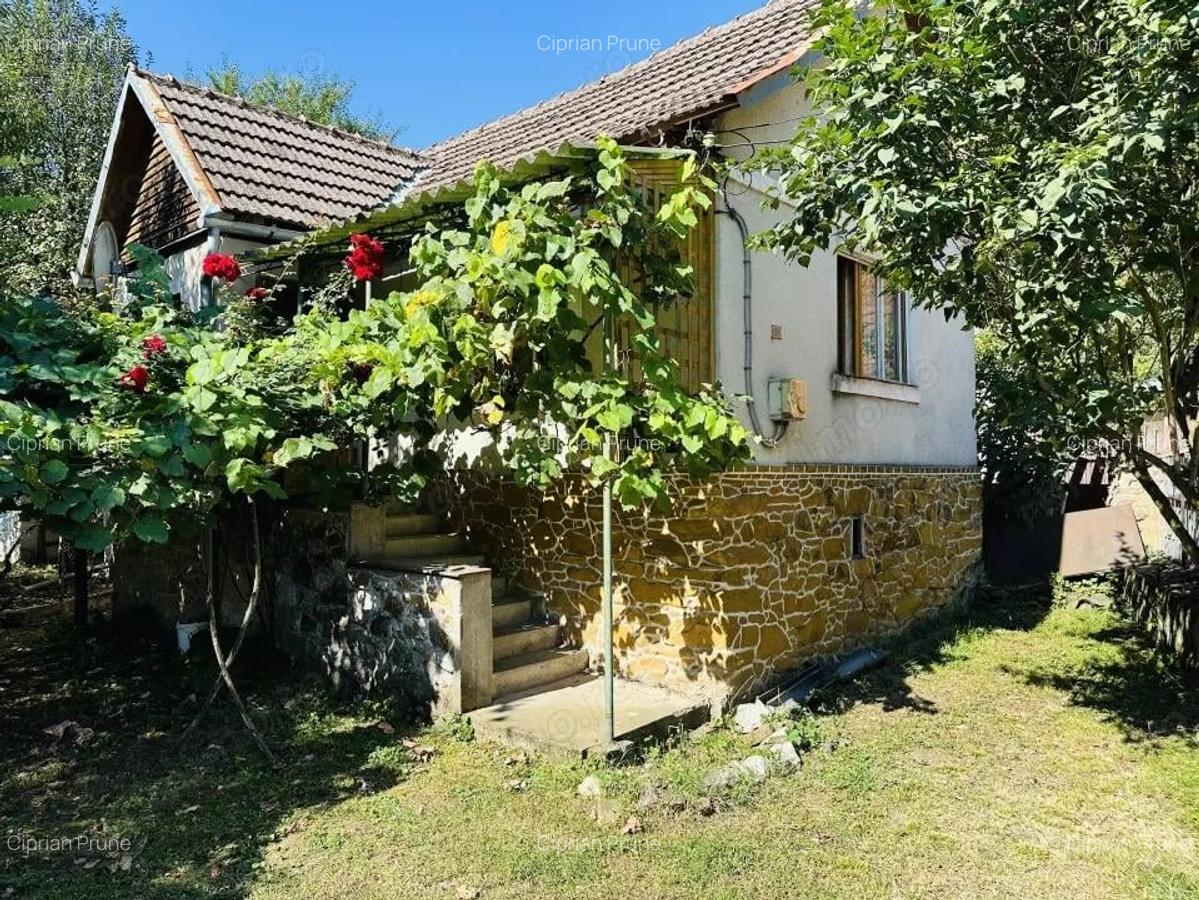 Casa de vacanta - Dognecea, CS - Teren 719 mp | Comision 0% - 12