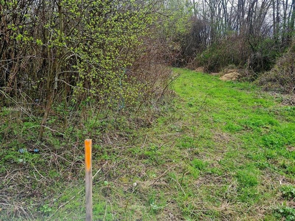 1.700mp intravilan,acces usor,intre case,ideal 2 locuinte/investitie,Lunca Calni - 4