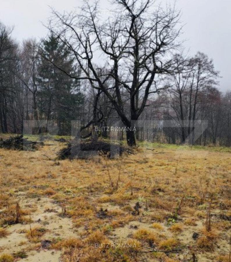 Oportunitate investitie teren intravilan Zarnesti - 6