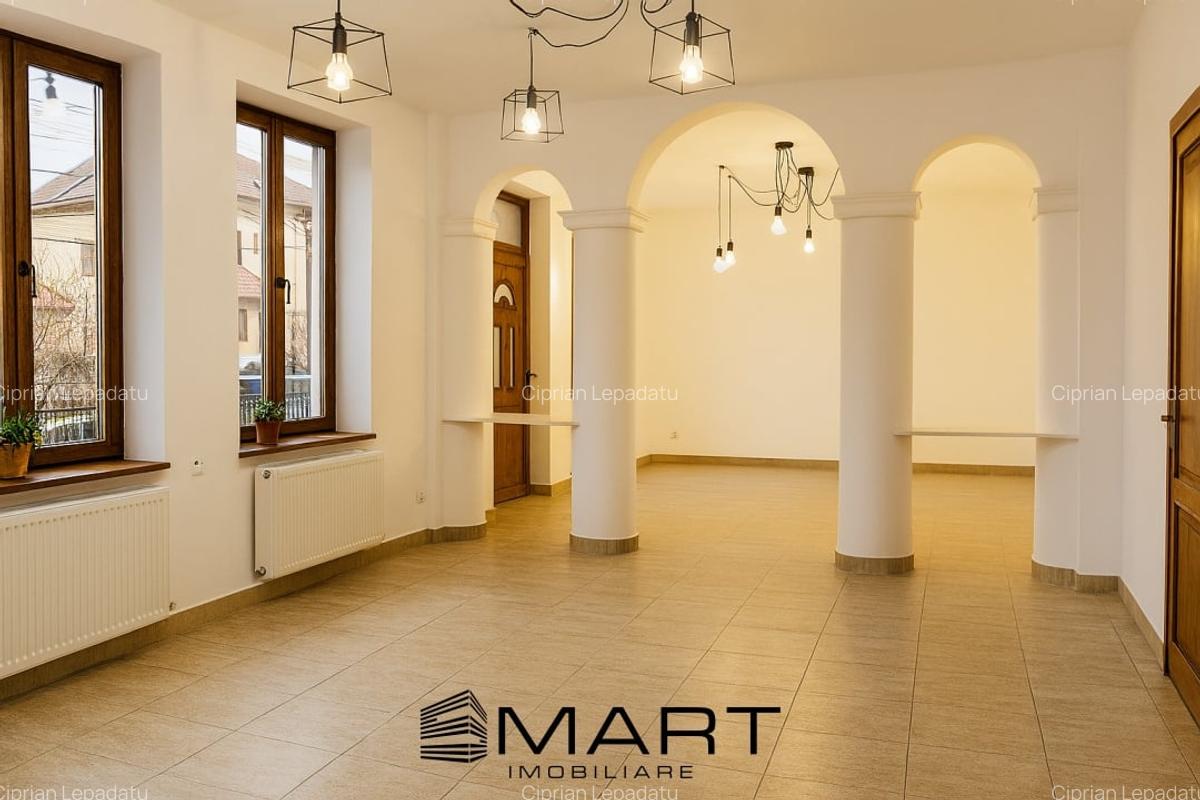 Spatiu comercial Zona Calea Dumbravii - 1