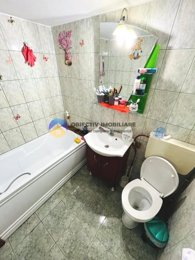 CASA + HALĂ  comuna ALEXANDRU cel BUN - 8