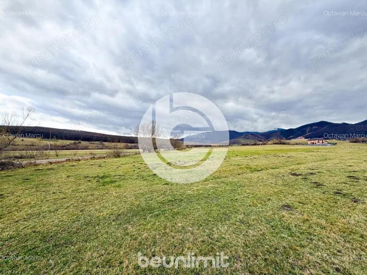 Teren intravilan in Tocile - 4354 m2 - 2 fronturi - oferta competitiva - 17