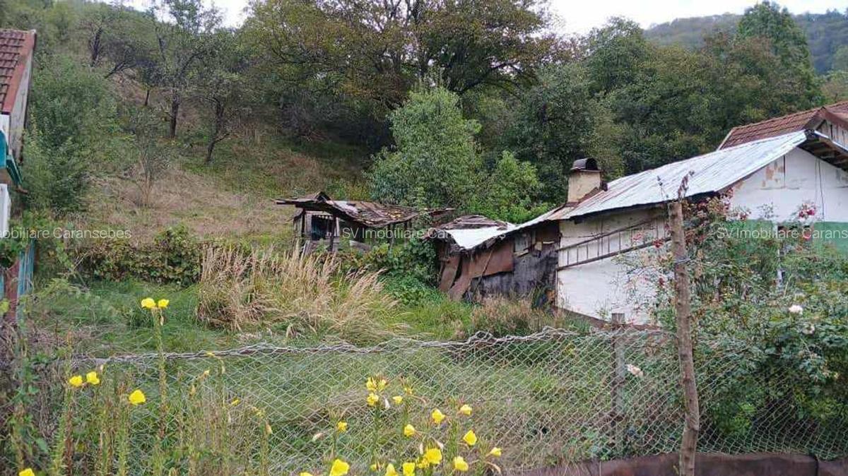 Comision 0 - Teren 3342 mp cu casa in Rusca Montana - 5