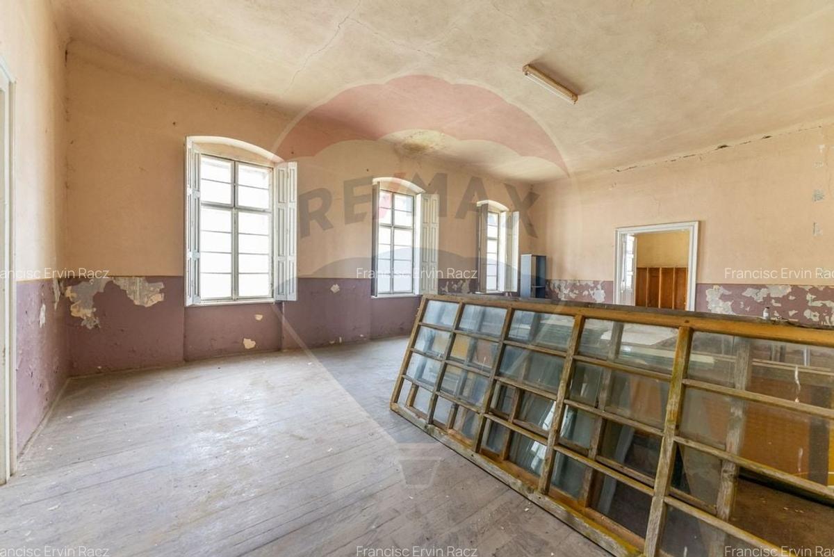 Conac aristocratic secolul XIX , domeniu  2,5 hectare -- Paulis, Arad - 9