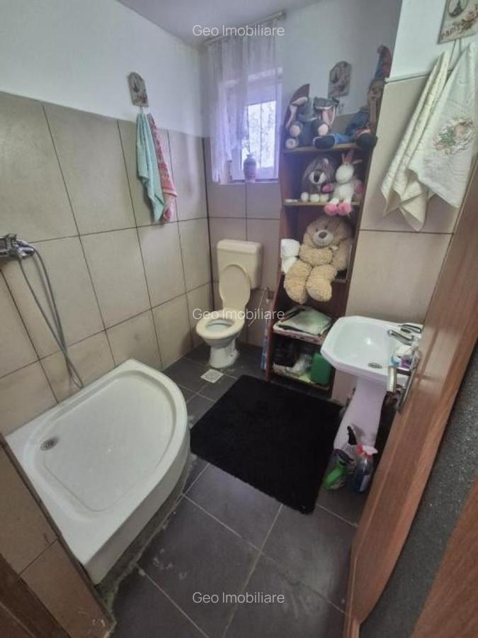 Casa 56 km de Bucuresti- comuna Ileana, loc. Razoarelor - 9