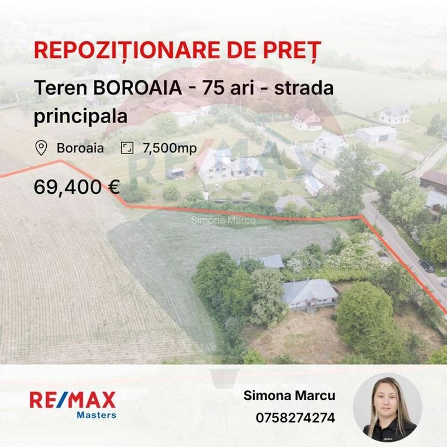 Teren BOROAIA - 75 ari - strada principala - 1