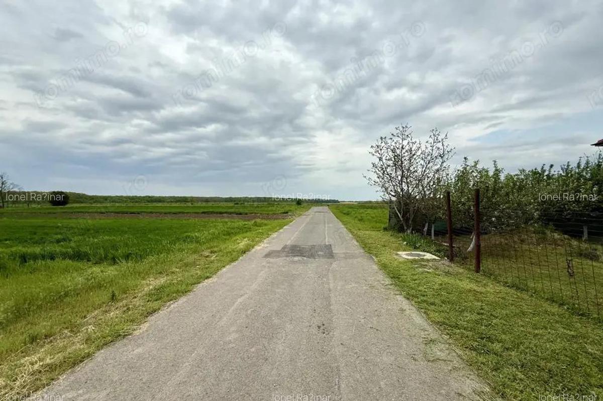 Teren intravilan de 1000 mp in Gradi?tea, Ilfov ideal pentru casa ta - 5