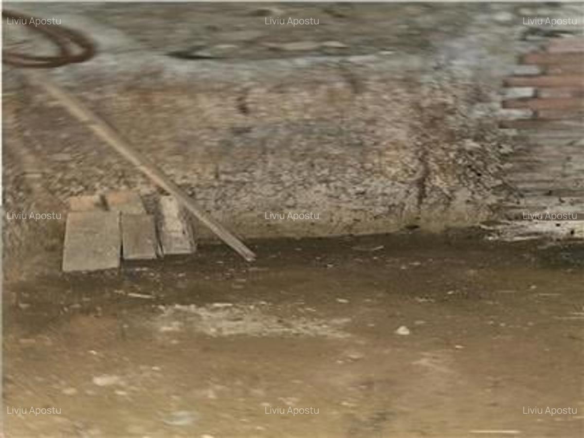 Vanzare Casa individuala + Teren Gara de Nord - 7