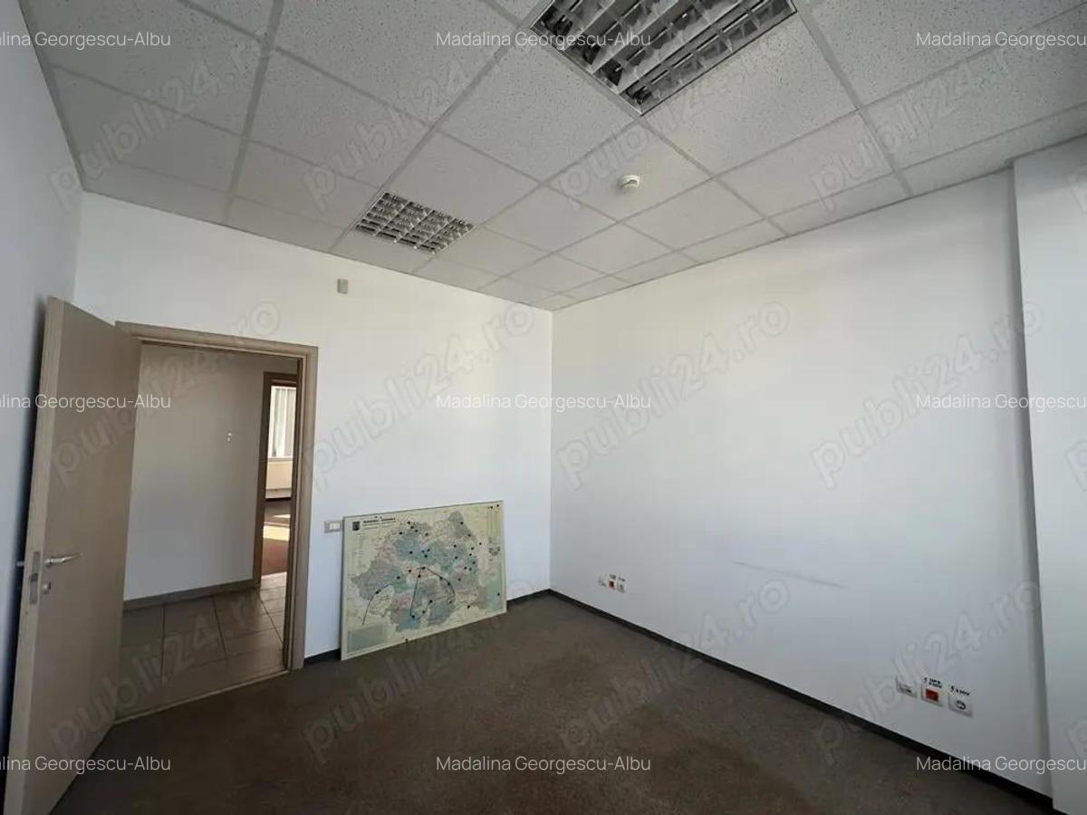 Theodor Pallady stradal birou 410 mp utili LIBER - 12