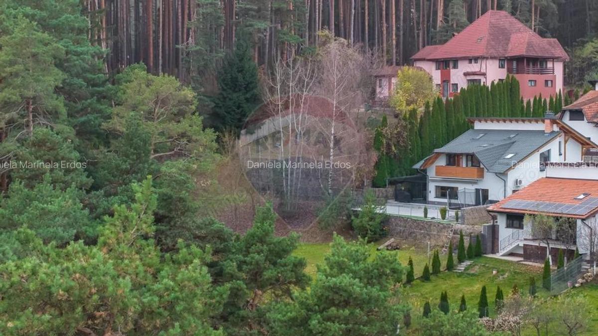 Vila moderna cu vedere spre padure Poiana Angelescu - 5