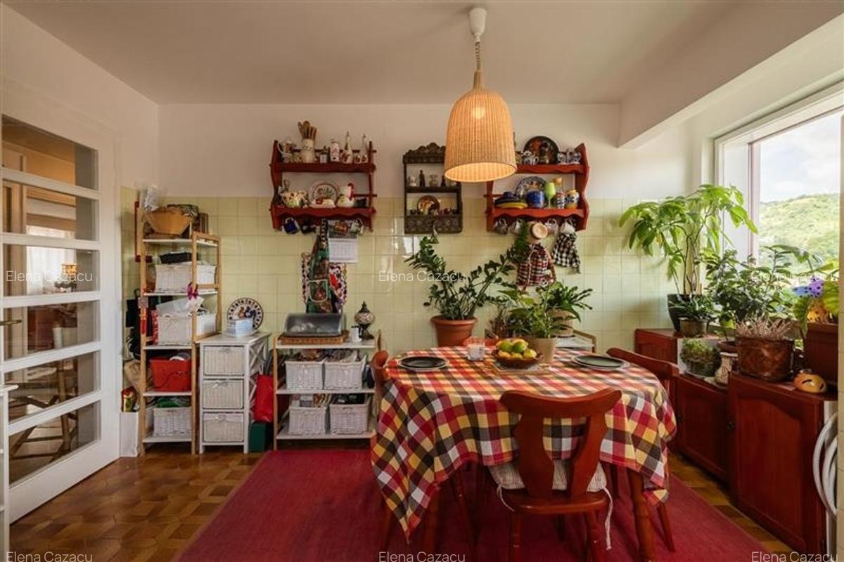 Distinct nivel in vila,5 camere,terase in spectacolul colinei montane,Central,Br - 20