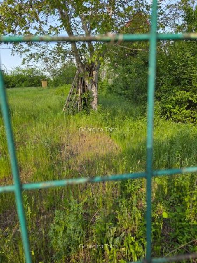 Teren intravilan 500 mp, zonă de case, com. Brănești – Pasărea (Ilfov) - 3