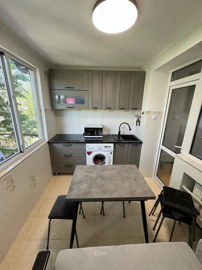 Apartament cu o camera de vanzare zona Buziasului - 1