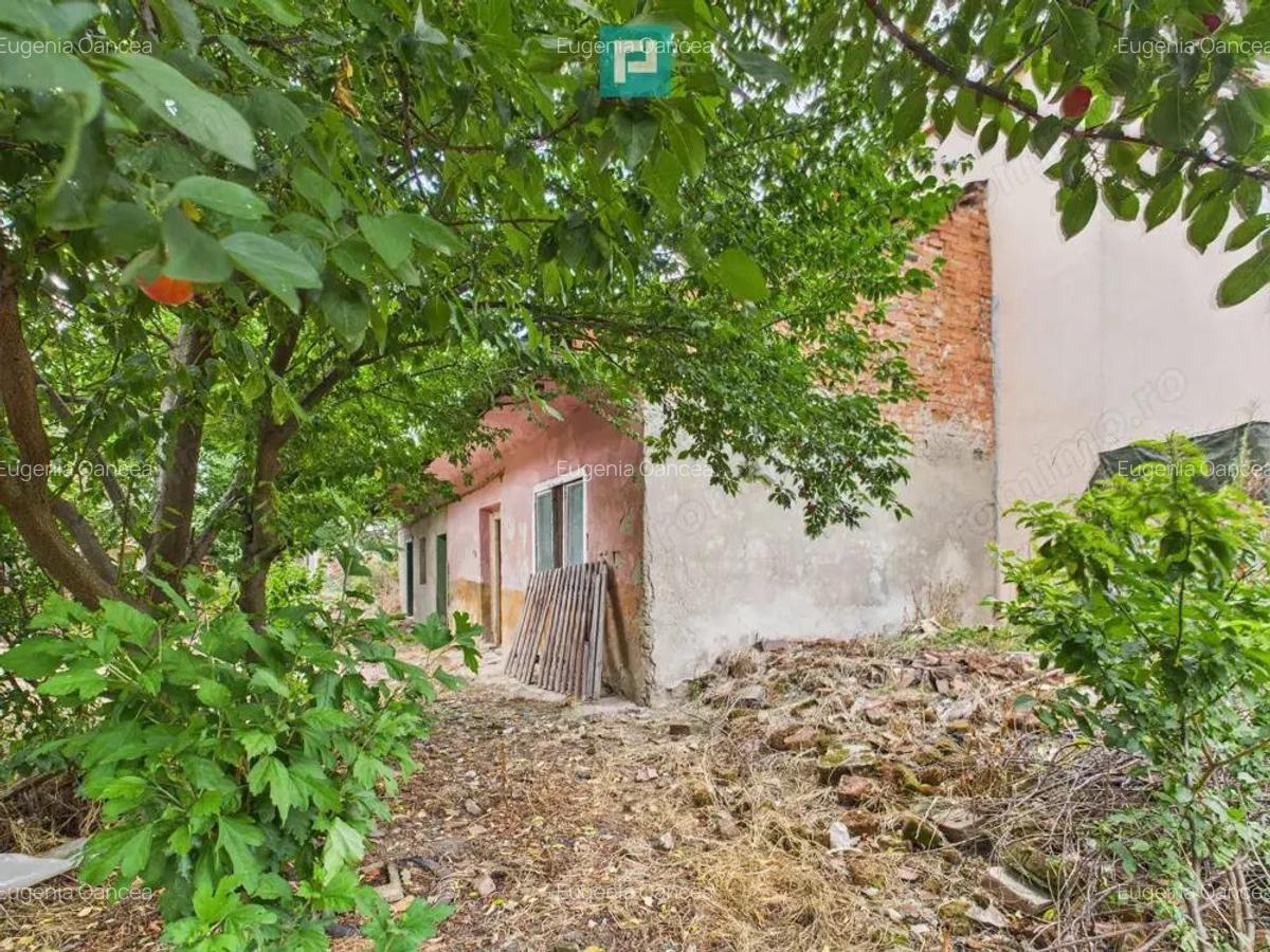 Teren 1.484 mp in zona Iosefin - 10